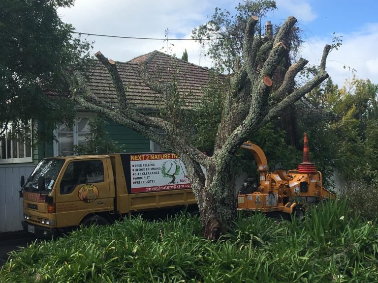 Tree chipper and crew hired by the half or full day in West Auckland