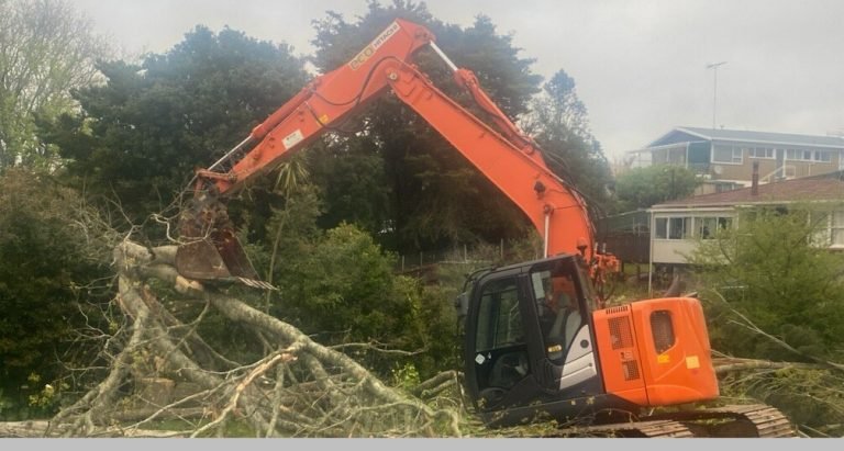 Tree stump removal before building or landscaping in West Auckland