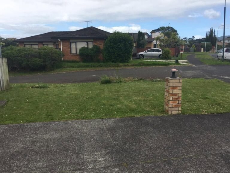 Conifer tree line removal and hedge trimming in Waitakere, the front yard after the conifers were removed