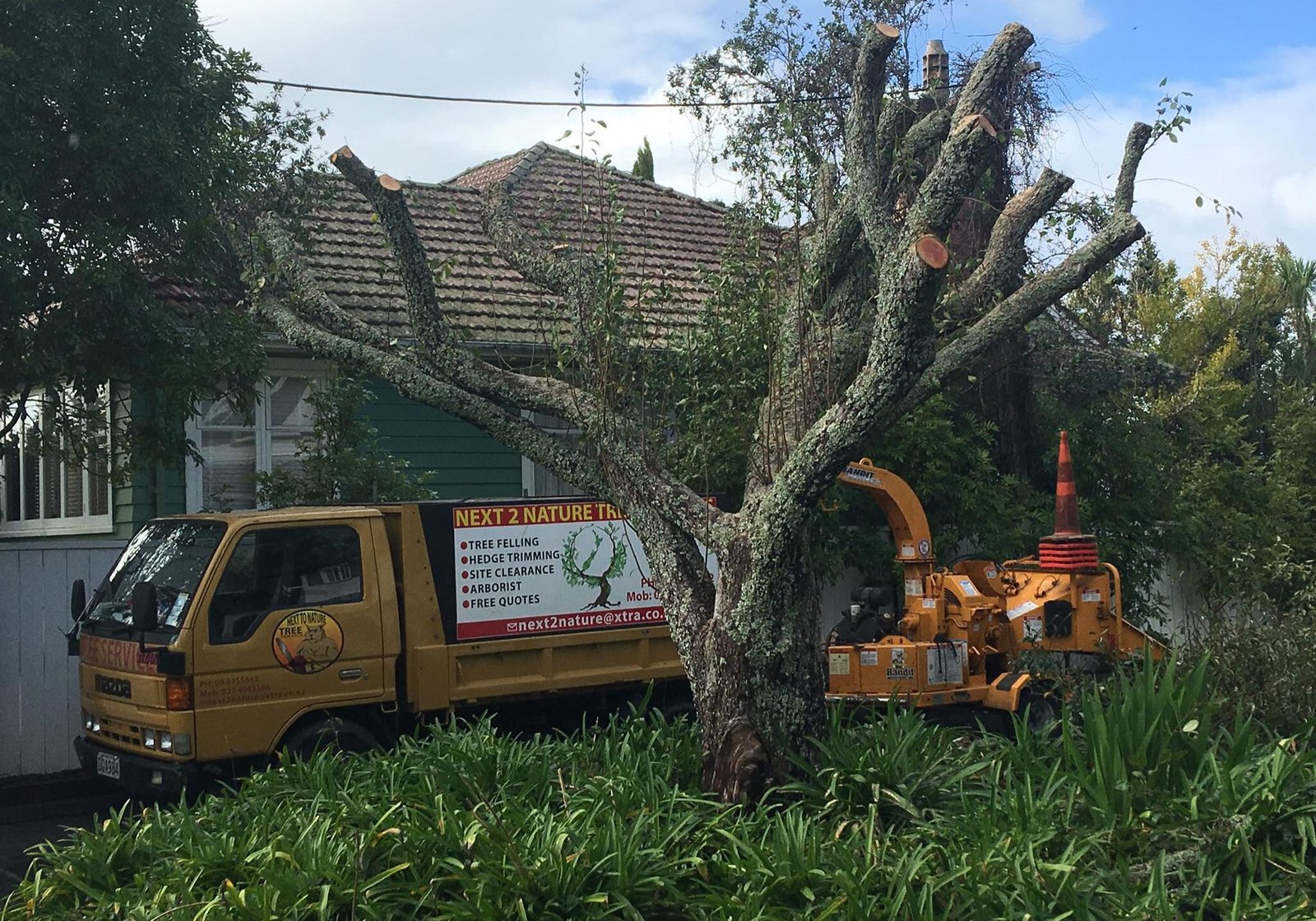 Arborist (2)