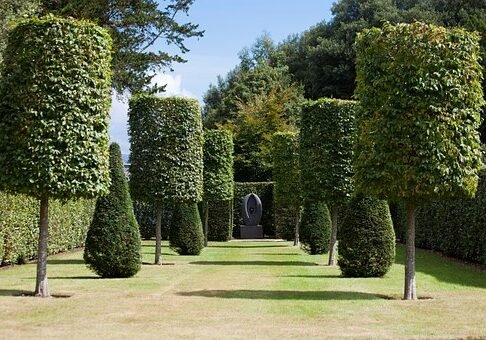 Hedge trimming in West Auckland