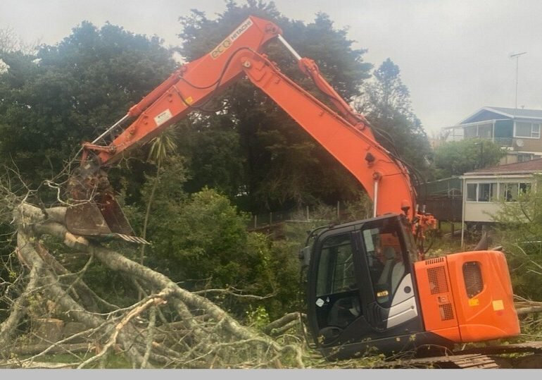 land clearing auckland